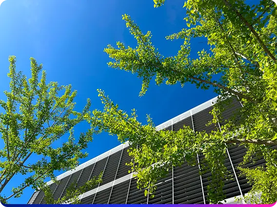 Mayor responsabilidad en la gestion ambiental, social y de gobernanza