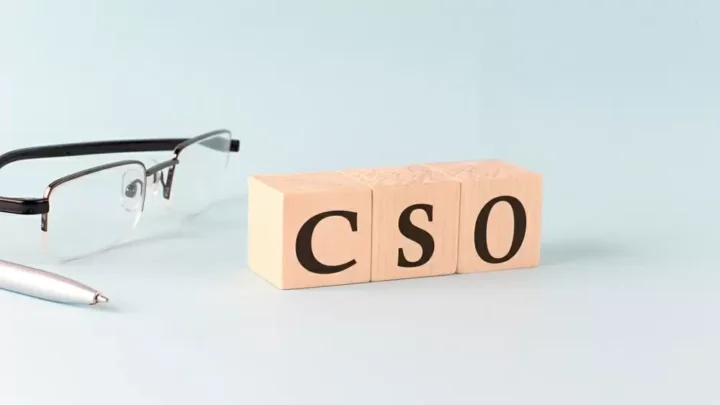 ¿Qué es el Chief Sustainability Officer (CSO)?
