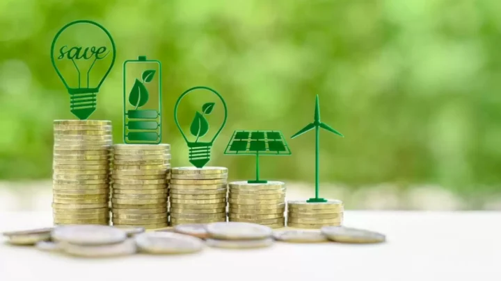 Los bonos verdes: financiando un futuro sostenible