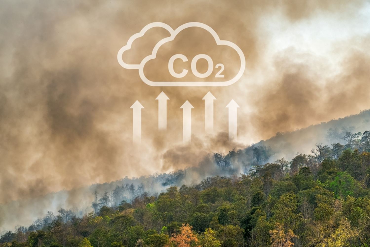 Imagen del artículo Clima: hacia un objetivo de reducción del 90 % de los GEI para 2040