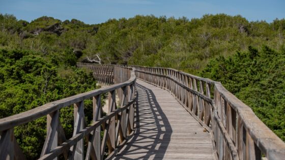 Una empresa multada con 25.000 euros por organizar excursiones en un parque natural