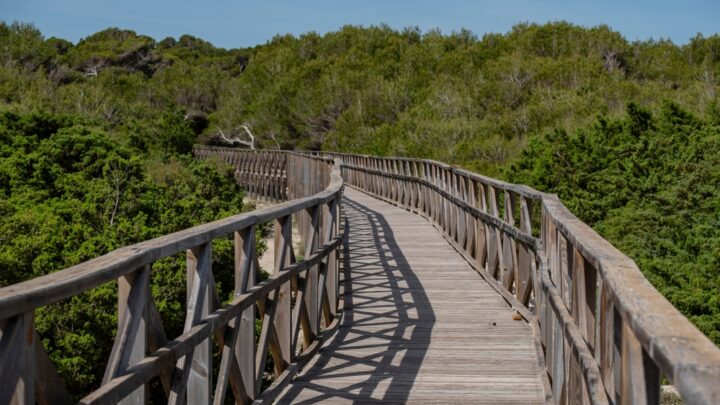 Una empresa multada con 25.000 euros por organizar excursiones en un parque natural