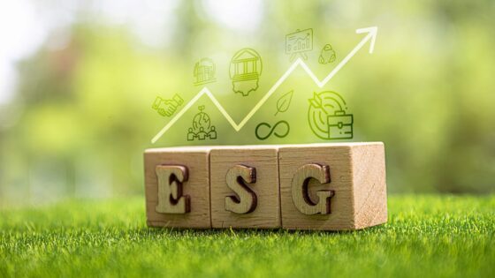 Concienciación ESG: Principios generales