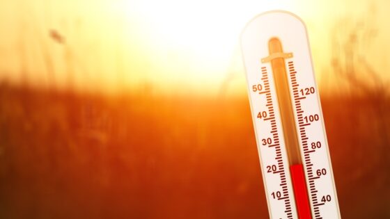 Las muertes por calor podrían triplicarse en Europa, según un estudio