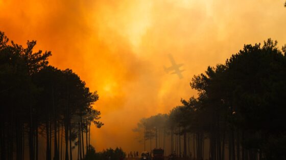 Cambio climático, incendios y contaminación: Triple amenaza para la salud y los ecosistemas