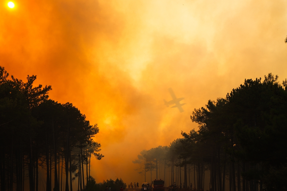 Imagen del artículo Alarmante incremento en frecuencia y costo de incendios forestales