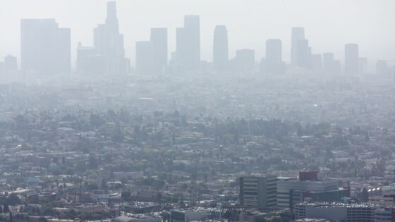 ¿Cómo afrontar el impacto del cambio climático sobre la salud en el lugar de trabajo?