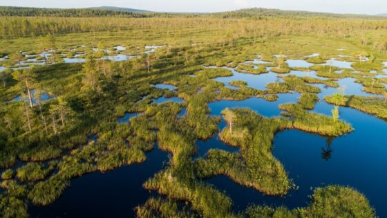 La UE insta a un acuerdo para la financiación de la biodiversidad