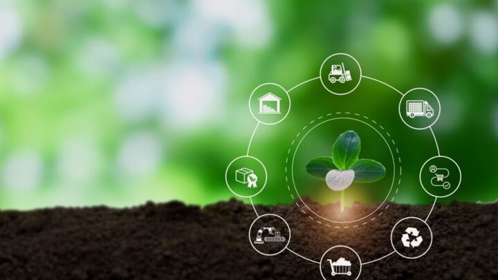 8º Programa de Acción en materia de Medio Ambiente (PAM)