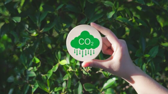 Real Decreto sobre el registro de la huella de carbono