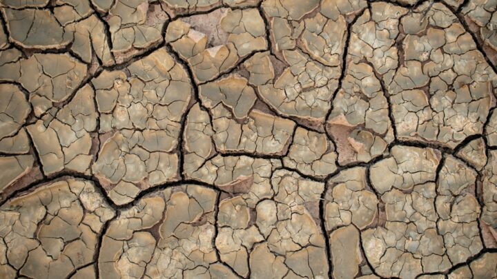 Comité de cooperación para luchar contra la desertificación