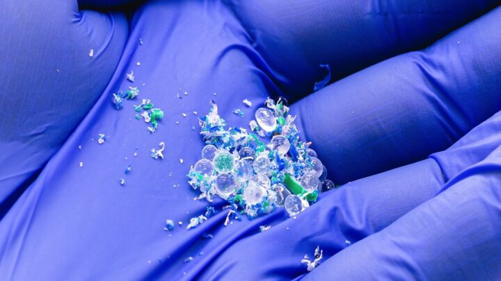 Bruselas advierte de un aumento de la contaminación por microplásticos