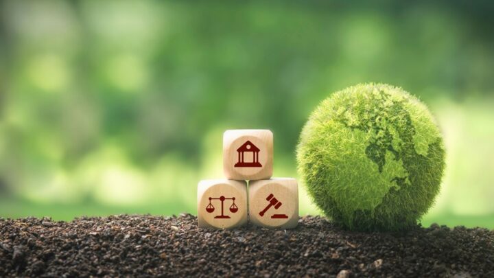 ¿Por qué se ataca en Europa la financiación de las ONG ecologistas?