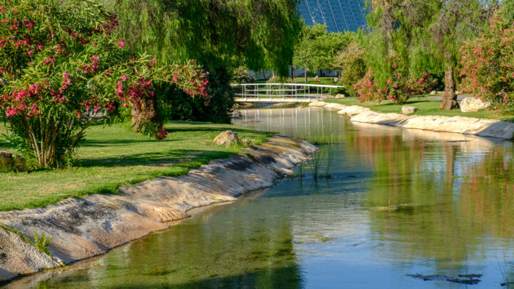 Propuestas para las ayudas centradas en la renaturalización y digitalización