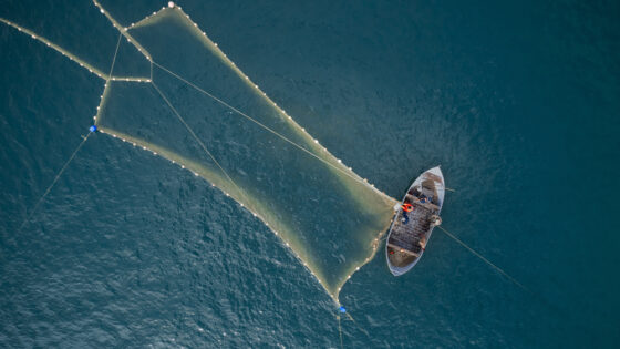 Más de 60 países han ratificado ya el Tratado de los Océanos, que entrará en vigor en octubre