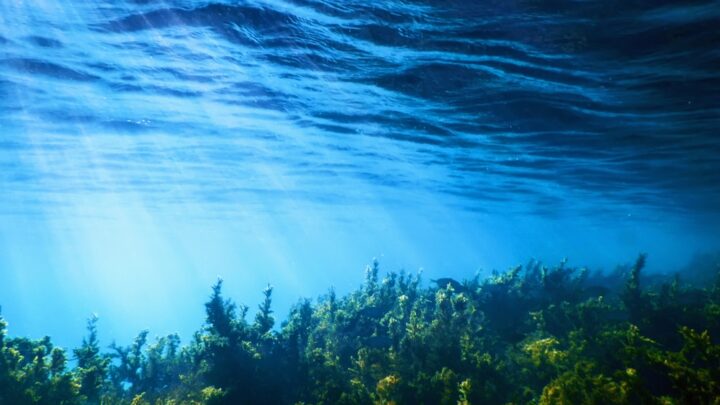 Real Decreto por el que se aprueban las estrategias marinas de segundo ciclo