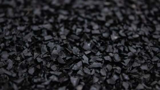 Anteproyecto de Ley para garantizar productos libres de deforestación