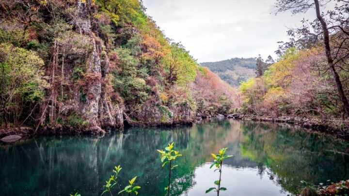 ESRS: el EFRAG presenta sus primeras propuestas de modificación de las normas