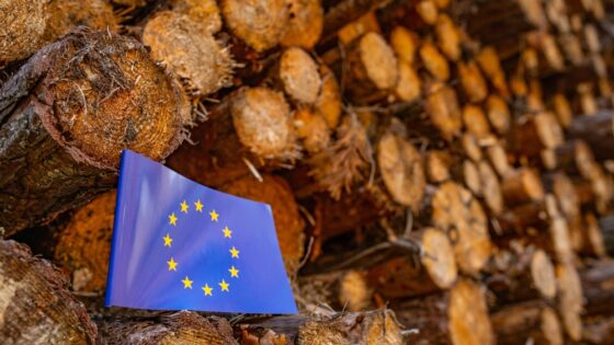 Varios países piden a Bruselas relajar la ley de deforestación europea