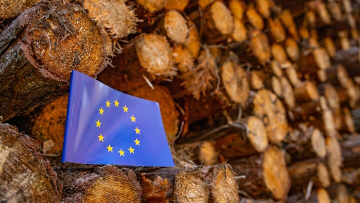Varios países piden a Bruselas relajar la ley de deforestación europea