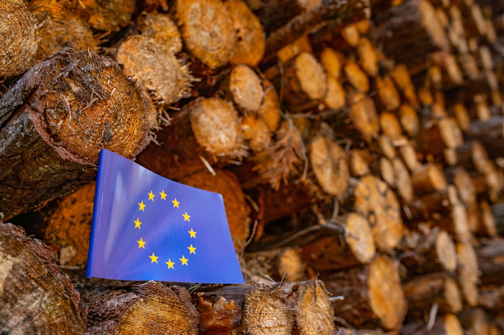 Imagen del artículo Varios países piden a Bruselas relajar la ley de deforestación europea