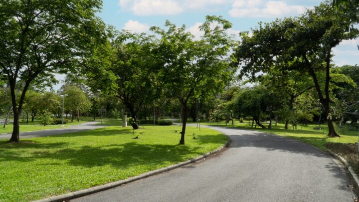 Presentación de 12 nuevos proyectos para la renaturalización de las ciudades