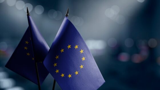 La UE no alcanza el 'Buen Estado Ambiental' de sus mares, según un estudio