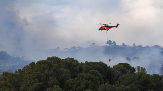 El Consejo de Ministros aprueba la propuesta de Pacto de Estado frente a la emergencia climática