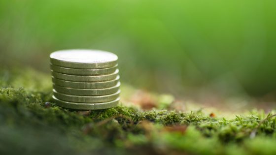 MITECO concede 151 millones de euros a 125 proyectos para impulsar la circularidad en el sector del plástico