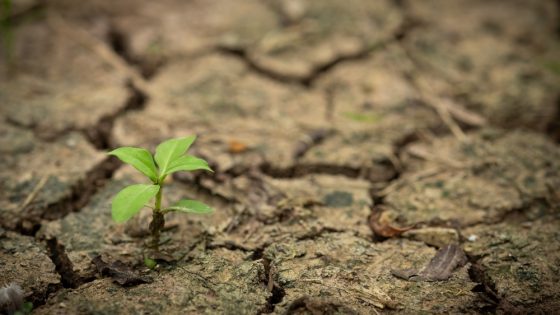 España enfrenta 141 riesgos relevantes y 51 riesgos clave por el cambio climático, según un nuevo informe de MITECO