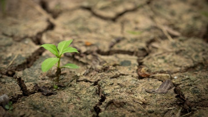 España enfrenta 141 riesgos relevantes y 51 riesgos clave por el cambio climático, según un nuevo informe de MITECO