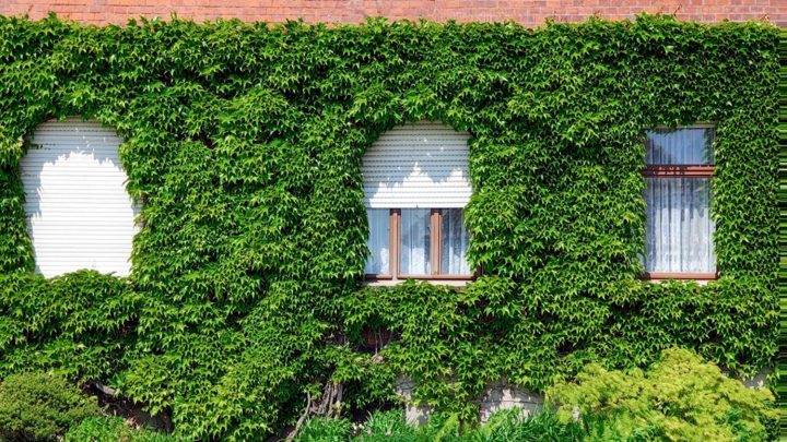 MITECO impulsa ‘NatUrbana Conecta’ para la renaturalización de las ciudades españolas