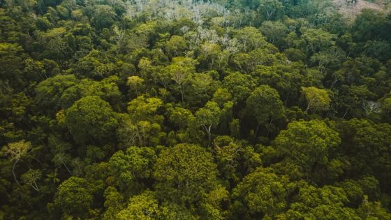 La COP30 logra un acuerdo climático, aunque sin objetivos concretos sobre el fin de los combustibles fósiles