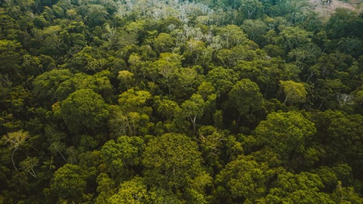 La COP30 logra un acuerdo climático, aunque sin objetivos concretos sobre el fin de los combustibles fósiles