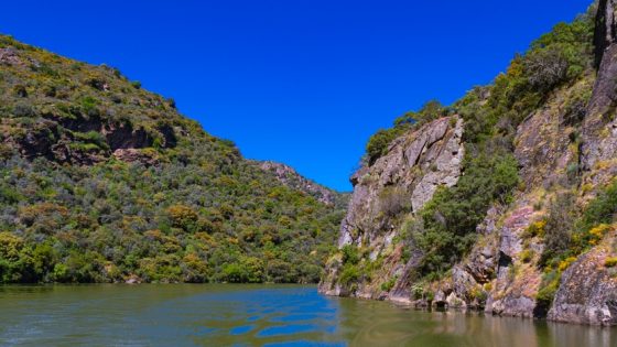 España albergará durante cuatro años más el Centro Internacional para las Reservas de la Biosfera Mediterráneas