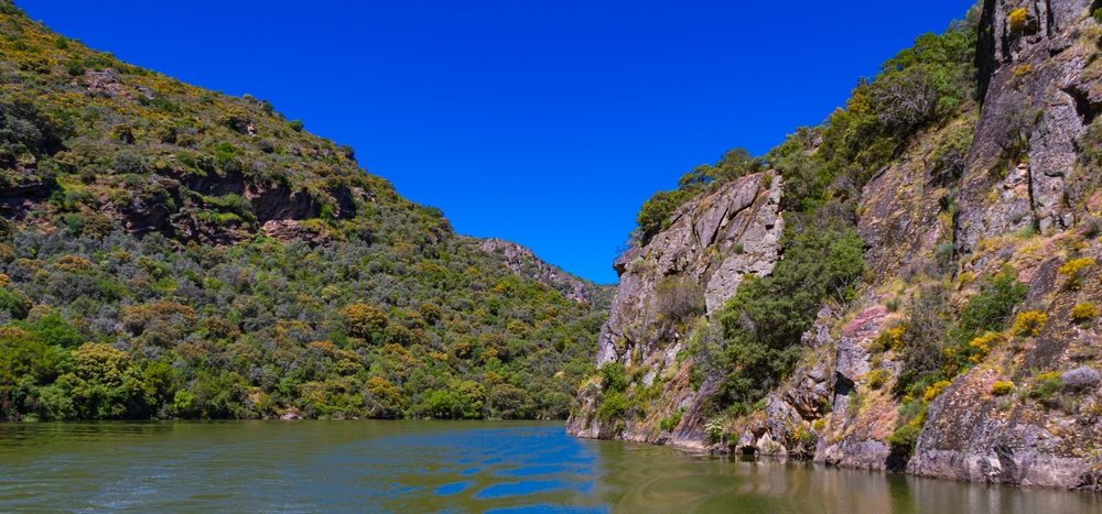 Imagen del artículo España albergará durante cuatro años más el Centro Internacional para las Reservas de la Biosfera Mediterráneas