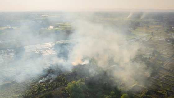 La ONU advierte que si no se toman medidas el cambio climático reducirá el PIB mundial en un 20% para finales de siglo