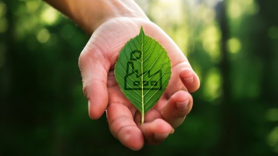 Reconocidas más de una veintena de empresas españolas por su lucha contra el cambio climático