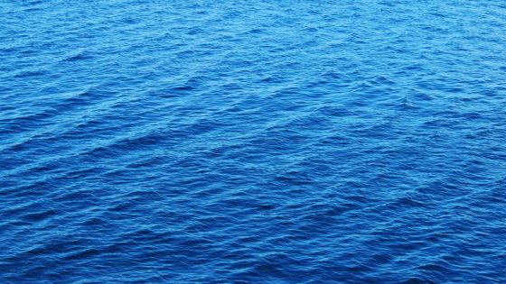 El próximo 17 de enero entra en vigor el Tratado de los Océanos