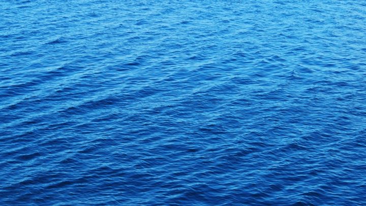 El próximo 17 de enero entra en vigor el Tratado de los Océanos