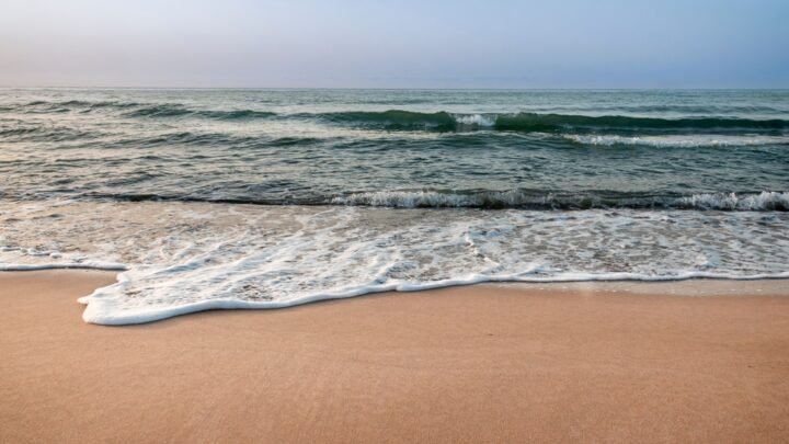 El Gobierno recurrirá ante el Constitucional la ley de la costa valenciana