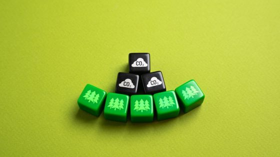 Primera norma voluntaria para las absorciones permanentes de carbono