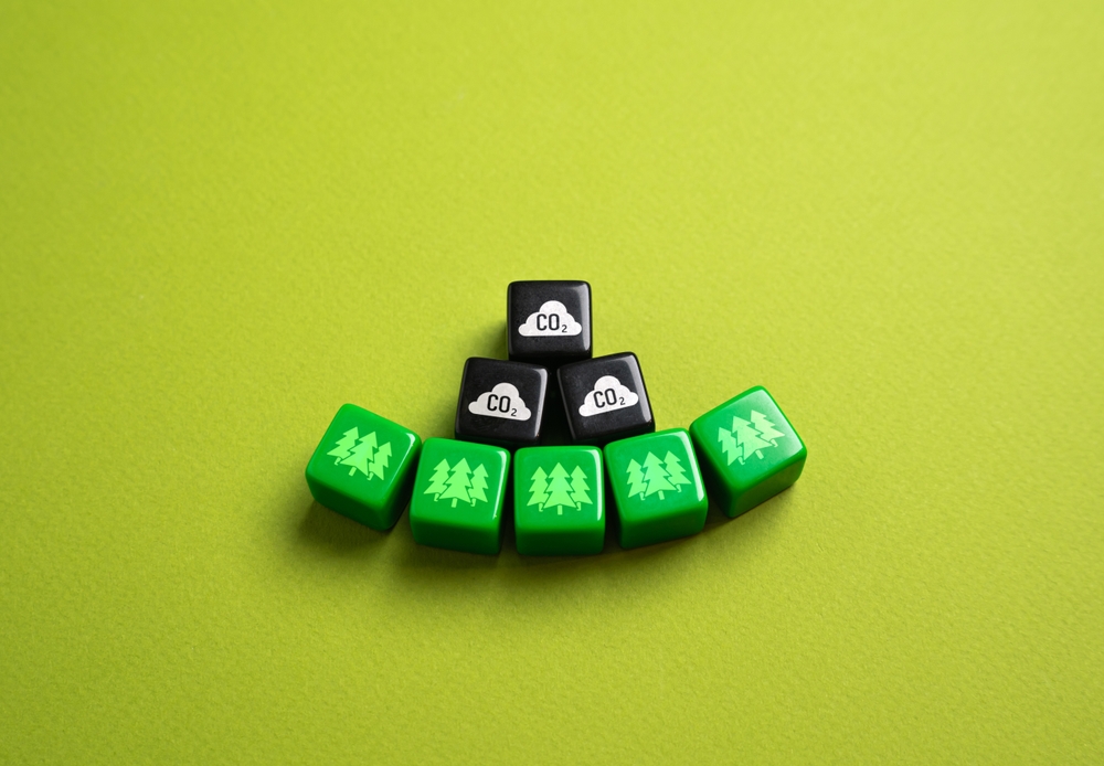 Imagen del artículo Primera norma voluntaria para las absorciones permanentes de carbono
