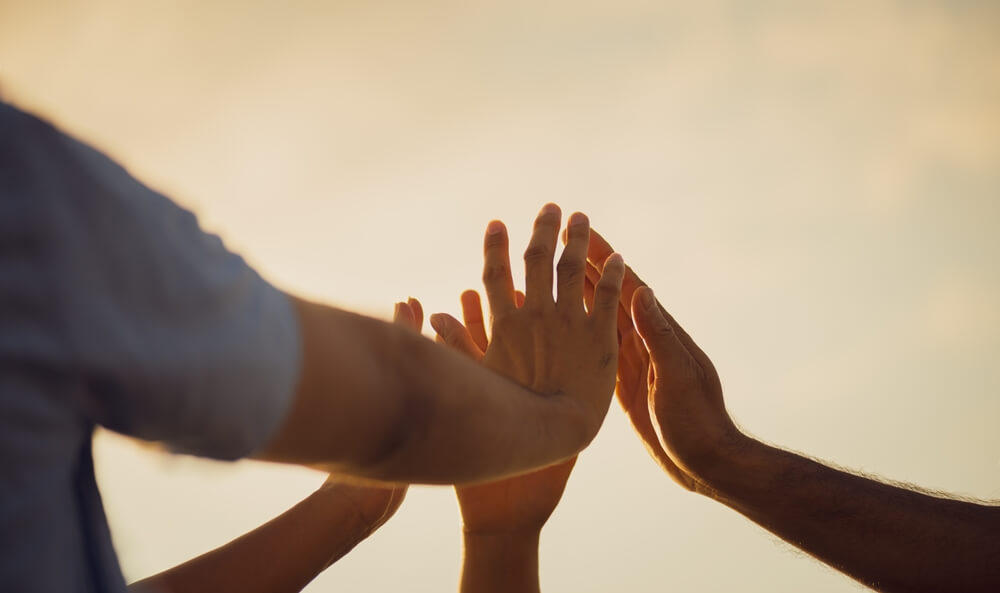 Imagen del artículo La Ley de Economía Social entra en vigor este viernes