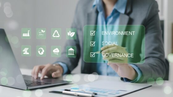 La CE desea recabar información sobre las normas europeas revisadas de información sobre sostenibilidad (NEIS)