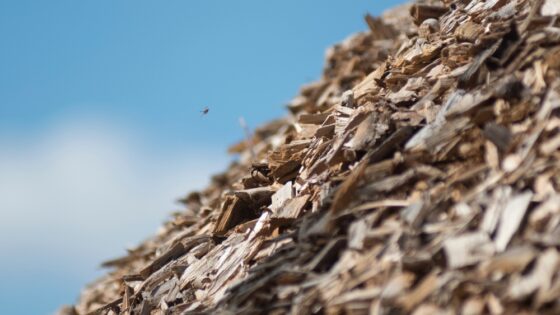 Regulación de la biomasa destinada a la producción de energía