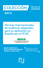 Normas Internacionales de Auditoría adaptadas para su aplicación en España por el ICAC