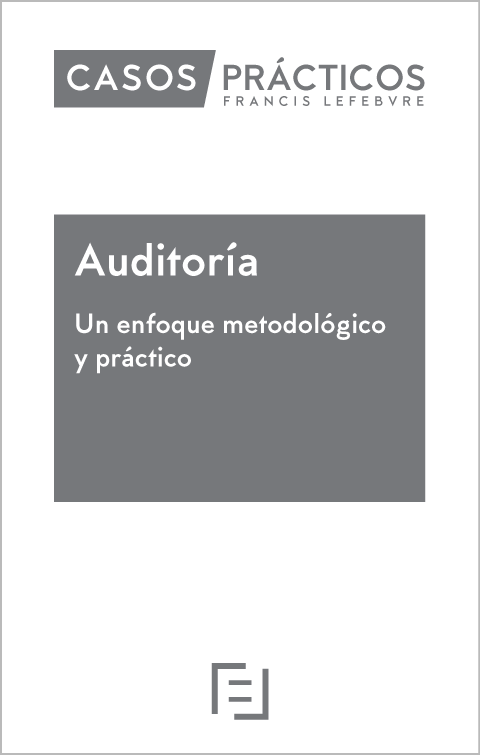 Casos Prácticos Auditoría. Un enfoque metodológico y práctico