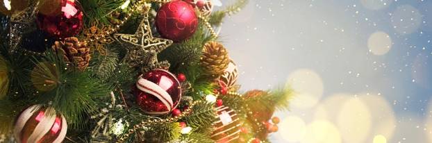 Imagen del artículo Os deseamos unas felices fiestas y un magnífico año 2020